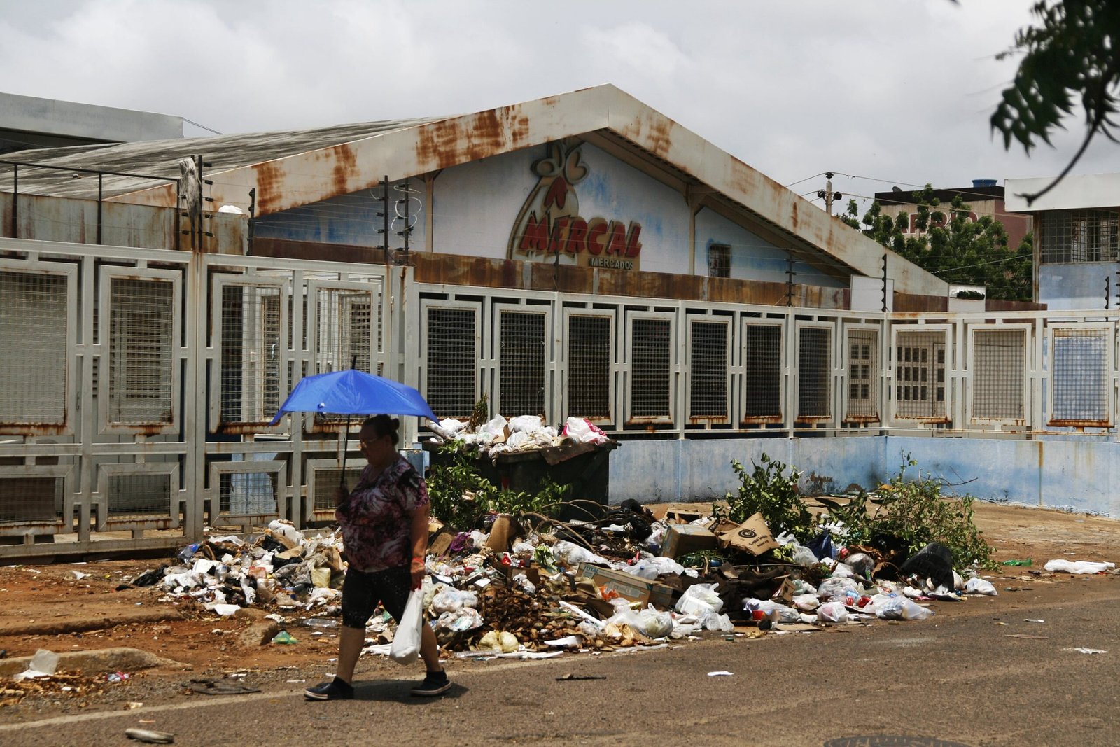 Nova York planeja mercados subsidiados sob sombra de fracasso venezuelano