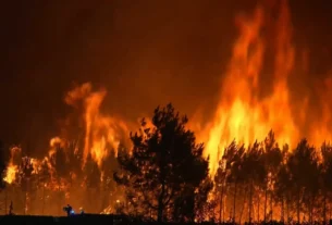 Onda de incêndios florestais atinge seis países europeus e deixa três mortos